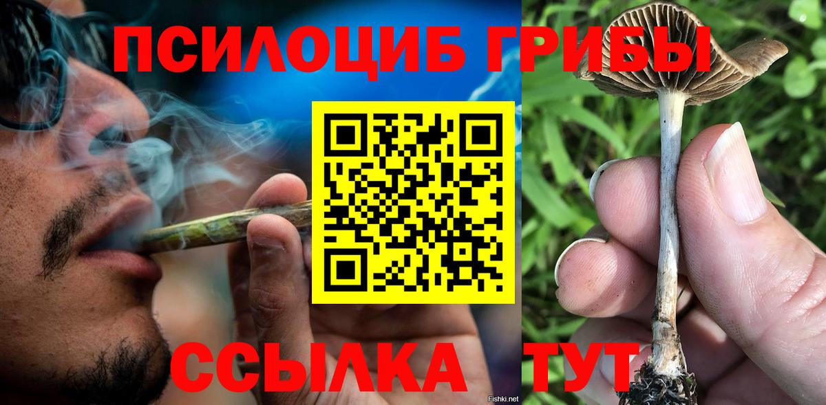 купить наркотик  Галлюциногенные грибы GOLDEN TEACHER  Вход с VPN  Воткинск 