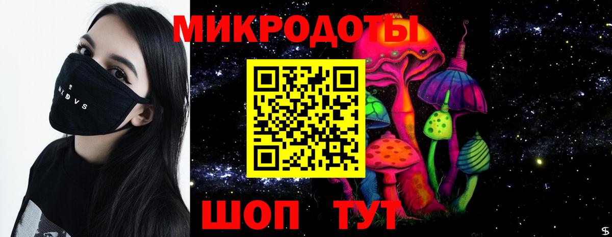 Псилоцибиновые грибы Psilocybe Воткинск